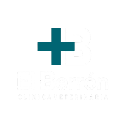 el berron clinica veterinaria sponsor futbol 7 asturias